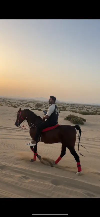 صورة ٤، استراحة ومربط السّالم