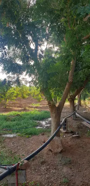 منتجع ابراهيم الهملان