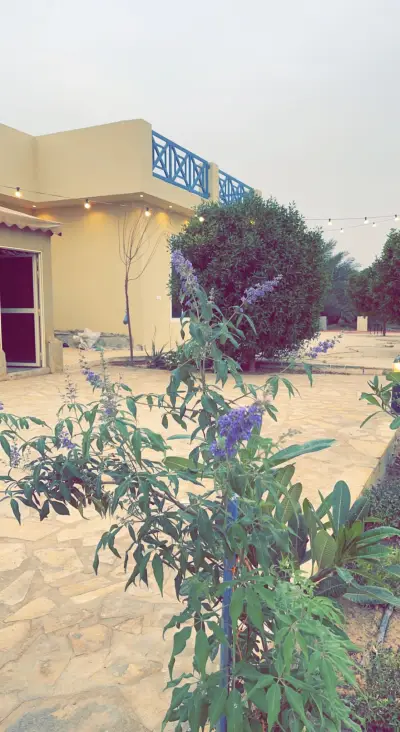صورة ٥، مزرعة عبدالرحمن عبدالعزيز الحديثي العاشقيه