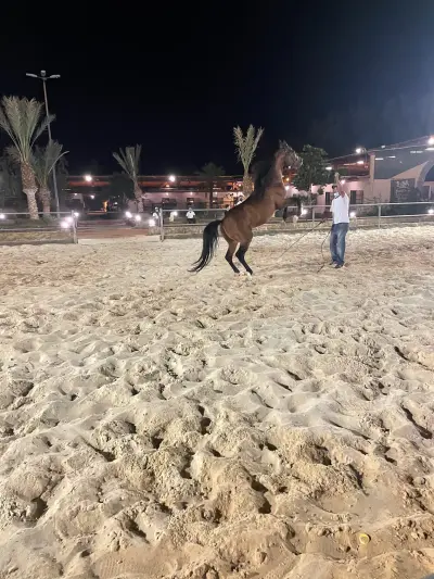 صورة ٢، مركز عُقول مثمرة للتدريب