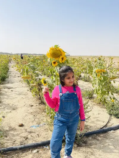 صورة ٢، أرياف زكي السالم للمياه الكبريتيه