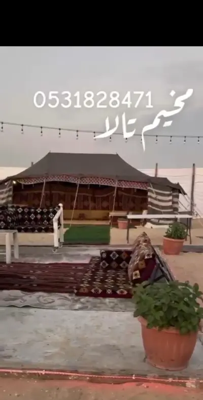 صورة ٤، مخيم تالا البري 2024
