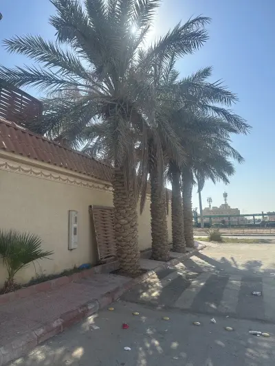 صورة ٣، استراحة واحة الغدير
