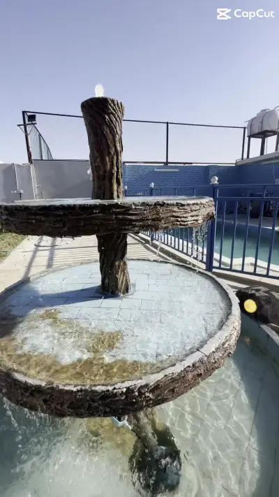 صورة ٣، استراحة جوهرة الوسام