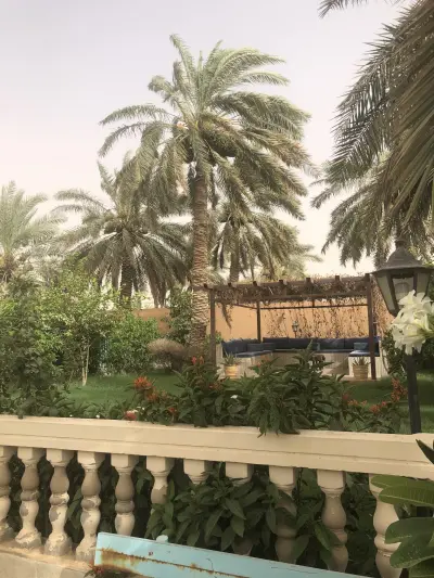 صورة ٢، شاليه لي لي