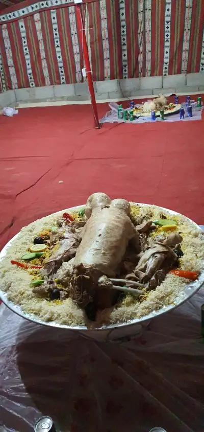 صورة ٥، شاليهات واحة النفل