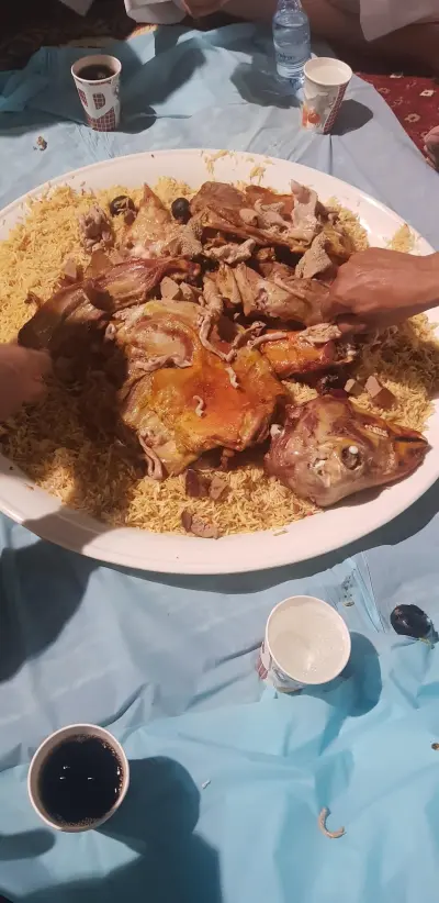 استراحه الغد المشرق