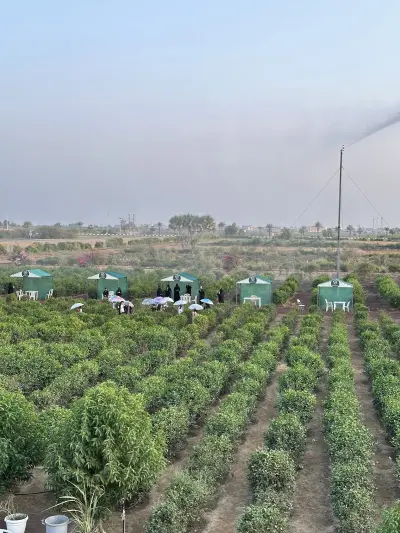 صورة ٤، مزرعة الفل الريفية