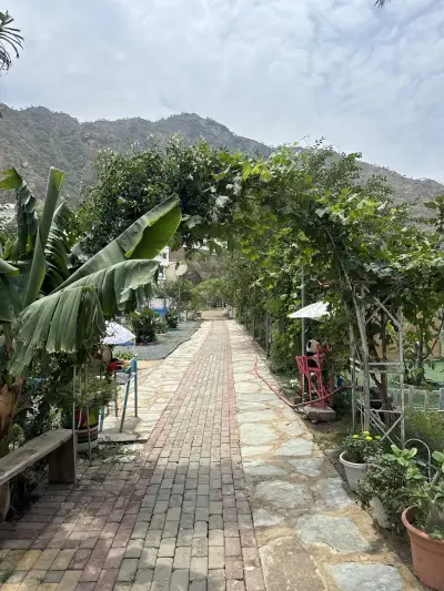 صورة ٢، مزرعة عذوق الريف