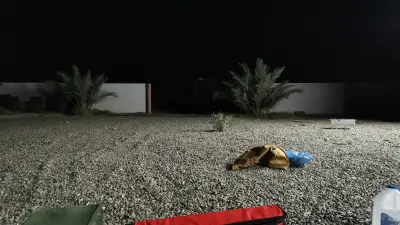 صورة ٣، استراحه ابو راكان