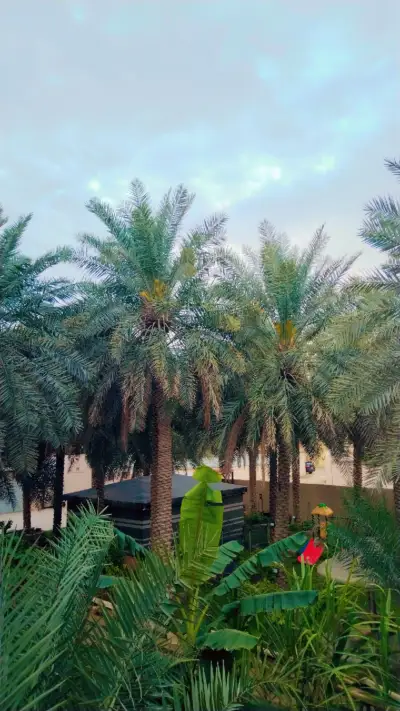 صورة ٥، استراحة الفخامة