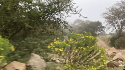 صورة ٤، استراحة وادي ماسل بالشفا