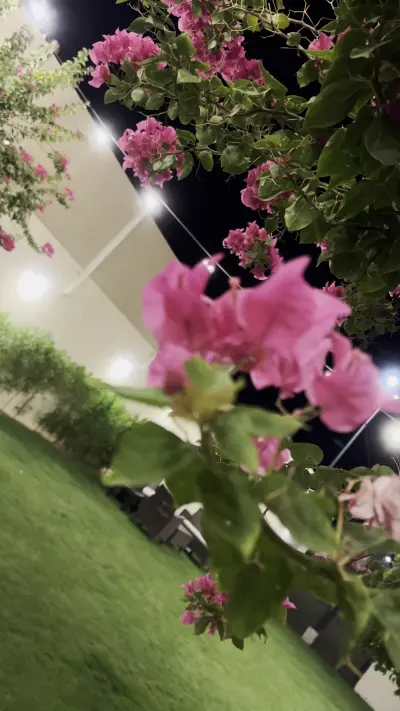 صورة ٣، شاليه سلطانة