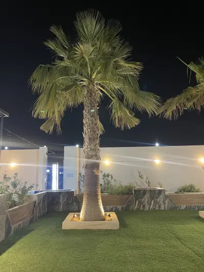 صورة ٤، منتجع رافلز نجران