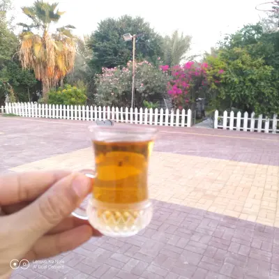 صورة ٥، استراحة آل لباد