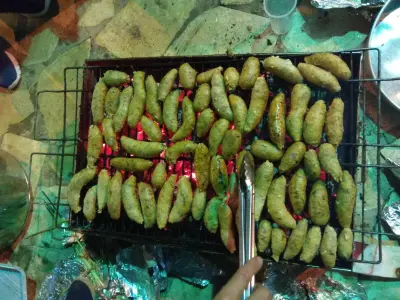 صورة ٢، شاليه سما نجد