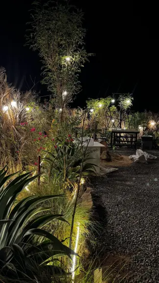 صورة ٢، مخيم ايڤا ا Eva Camp