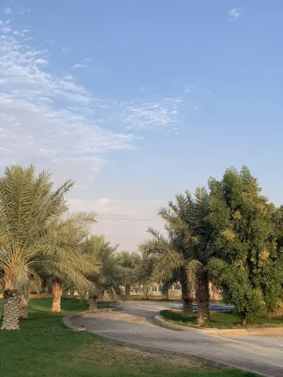 صورة ٣، مزرعة بنبان للايجار اليومي والمناسبات