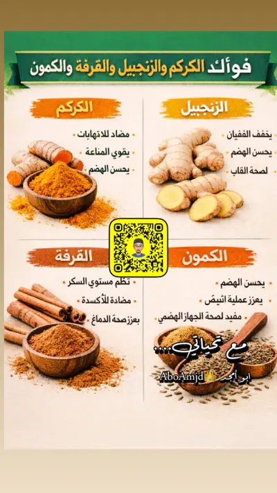 صورة ٣، مخيم ابو أمجد