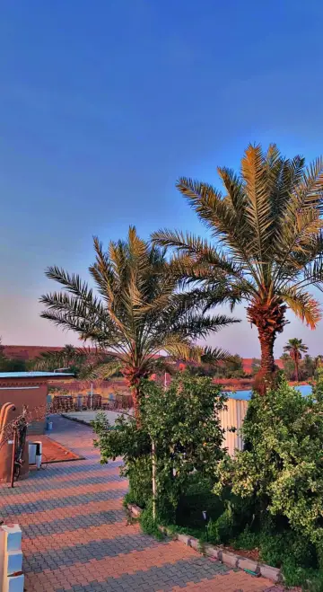 صورة ٤، حايط البديعه