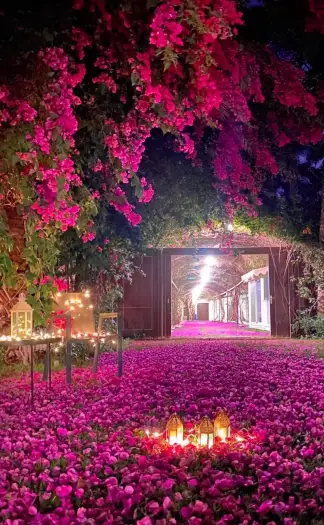صورة ٤، استراحة ومخيم ترف