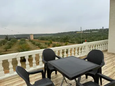 صورة ٤، مزرعة الأرض الطيبة