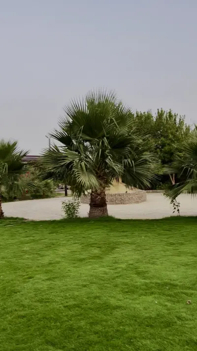 صورة ٣، شاليهات نعام