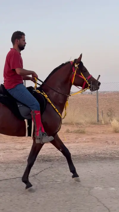 صورة ٤، منتجع و مخيم حزيم الريم