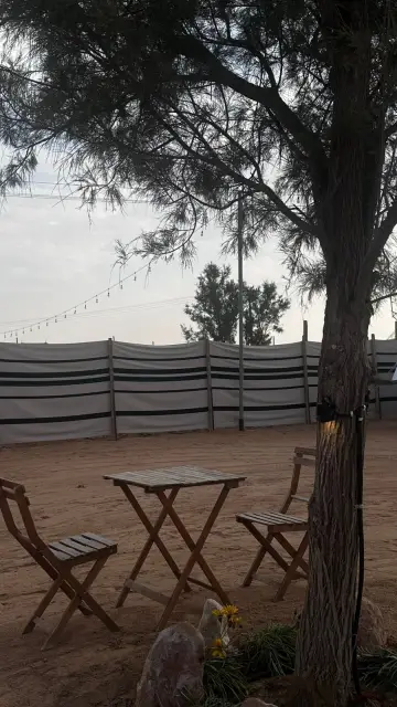 صورة ٣، مخيم الأصايل