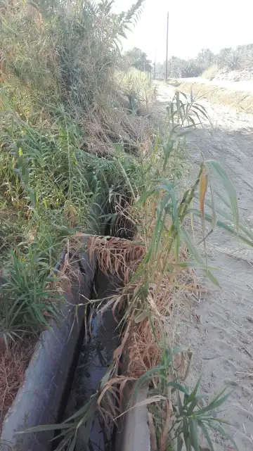 صورة ٦، استراحة جلنار