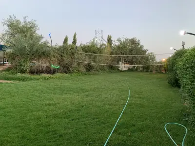 صورة ٤، استراحة واحة المورينجا