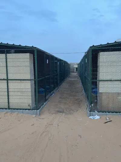 صورة ٢، استراحة مسلم السدراني