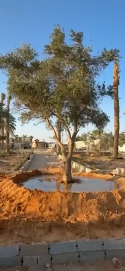 صورة ٣، استراحة الطريف