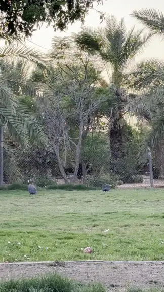 صورة ٢، منتجع حلوة