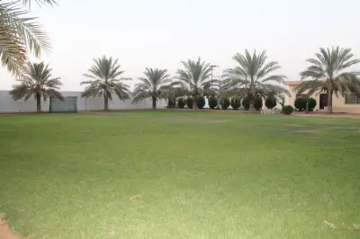 صورة ٥، استراحة المطلق