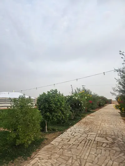 صورة ٣، منتجع المساء الجميل استراحة ومزرعة