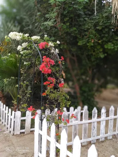 صورة ٢، استراحة آل لباد