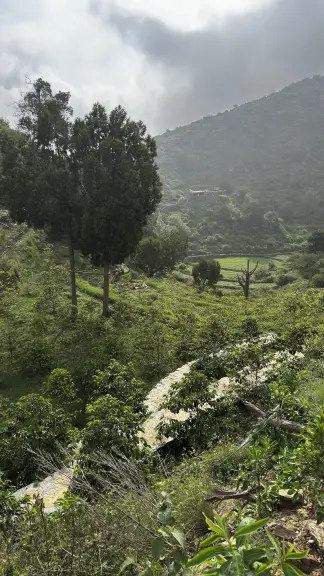 صورة ٤، مزرعة و نزل العَرَابَة