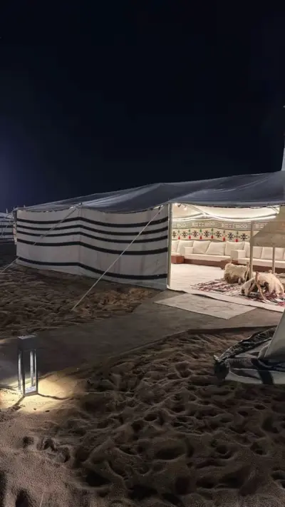 صورة ٤، مخيم الخزامى الشتوي - Lavender winter camp
