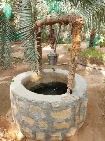 صورة ٣، مزرعة غلا نجد