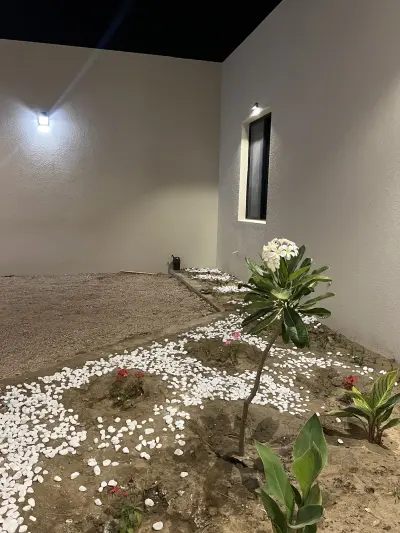 صورة ٦، منتجعات ورد