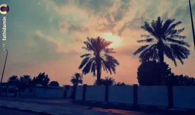 صورة ٥، مزرعة المزرع
