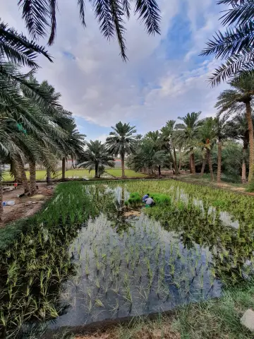 صورة ٢، استراحة جلنار