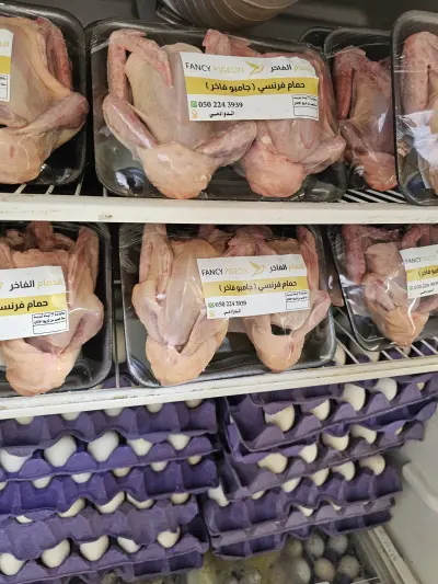 الحمام الفاخر