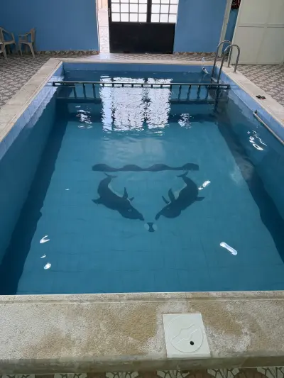 صورة ٤، شاليهات الجوري