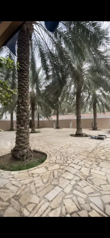 صورة ٢، مزرعة علي عبدالله الحميد الحايط