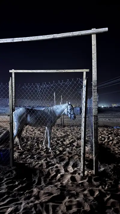 صورة ٤، مخيم الحجاز