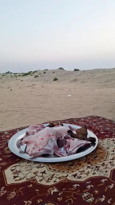 صورة ٣، استراحة وشاليهات كتارا