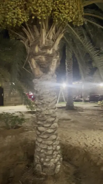 صورة ٣، مزرعة البستان