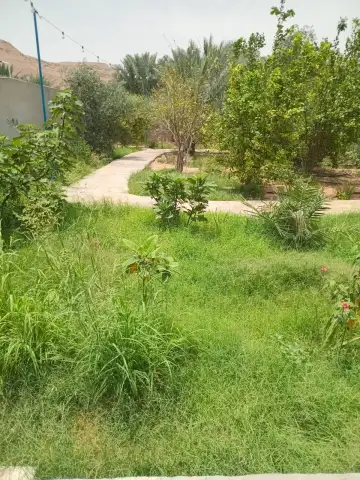 صورة ٦، مزرعة الناصرية - الواشلة